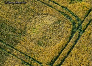 aerial of Marden Copse