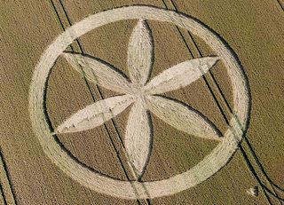 aerial of Buckland