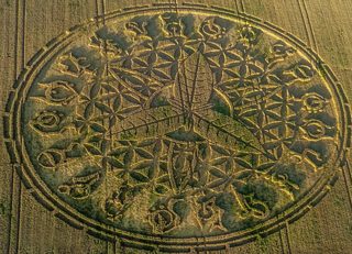 aerial of Ansty