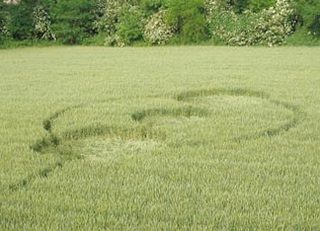 aerial of Farogliano