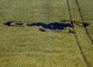 aerial of Lamine