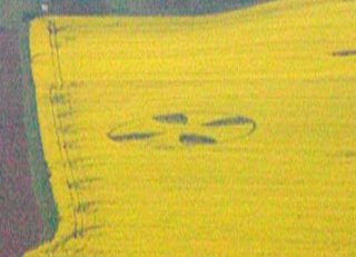 aerial of Wattenbach