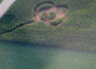 aerial of Abbotsford