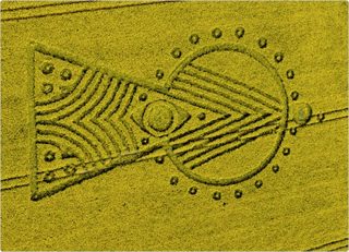 aerial of Yarnbury Castle