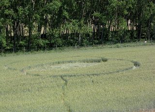 aerial of Gallo