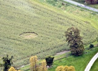 aerial of Avebury Manor