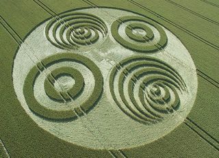 aerial of Savernake Forest