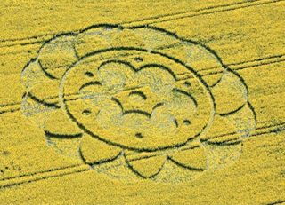 aerial of All Cannings