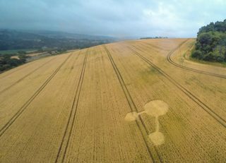 aerial of Seven Acre Wood