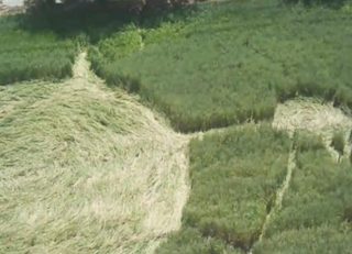 aerial of Tlapanaloya