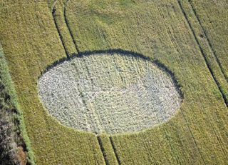 aerial of Hawton