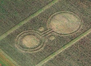 aerial of Marlborough
