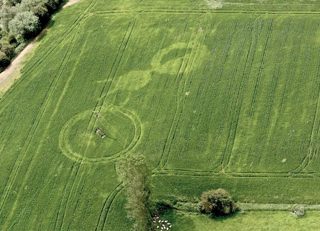 aerial of Malthous Bank