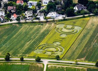 aerial of Blaesheim