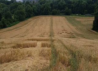 aerial of Roydon