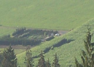 aerial of Rosedale