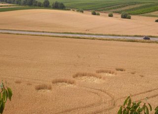 aerial of Landau