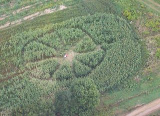 aerial of Schomberg