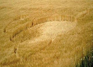 aerial of Riesi