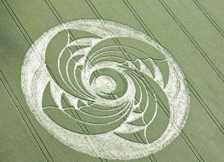 aerial of Tawesmead Copse