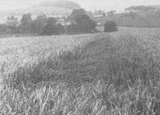 aerial of Cradle Hill