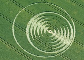 aerial of Tichborne