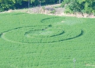 aerial of Cartoceto