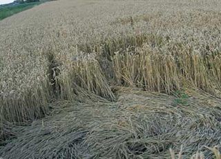 aerial of Hoeven