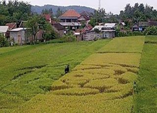 aerial of Wanujoyo