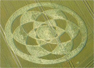 aerial of Fonthill Down