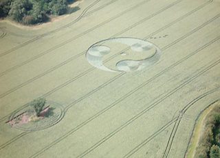 aerial of Ansty
