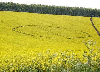 aerial of Ashbury