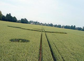 aerial of Rochford Golf Course