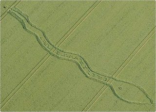 aerial of Wilton Windmill