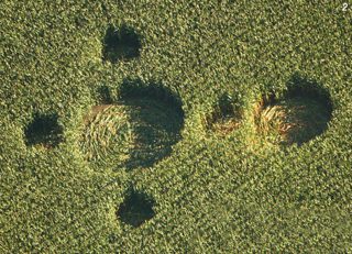 aerial of Bosschenhoofd
