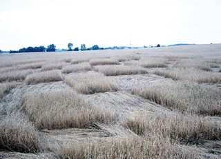 aerial of Labiszyn