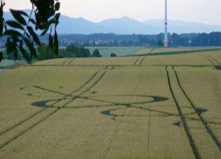 aerial of Landau