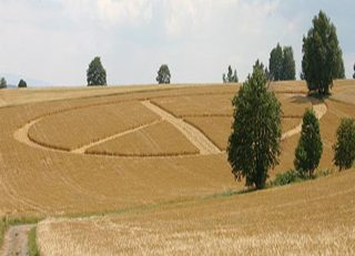 aerial of Selb