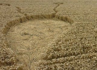 aerial of Tawesmead Copse