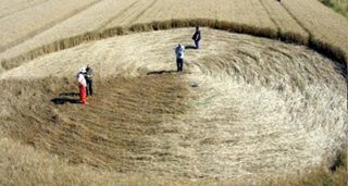 aerial of Collesalvetti