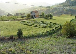 aerial of Riesi
