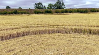 ground of Avebury Stone Circle from ccc