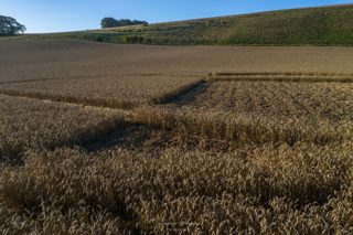ground of Chirton Bottom from ccc