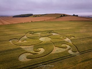 aerial of Etchilhampton
