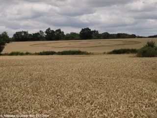 ground of Besford from ccc