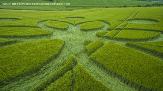 ground of Chicklade from ccc