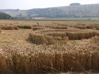 ground of Ansty from ccc