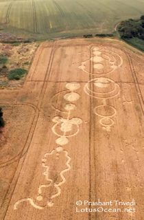 aerial of Roydon from ccc