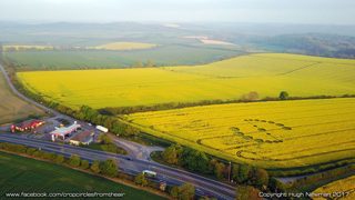 aerial of Willoughby Hedge from ccc