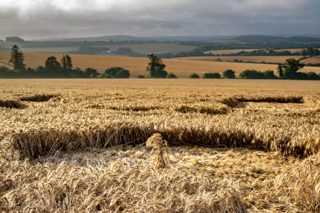 ground of Fonthill Bishop from ccc